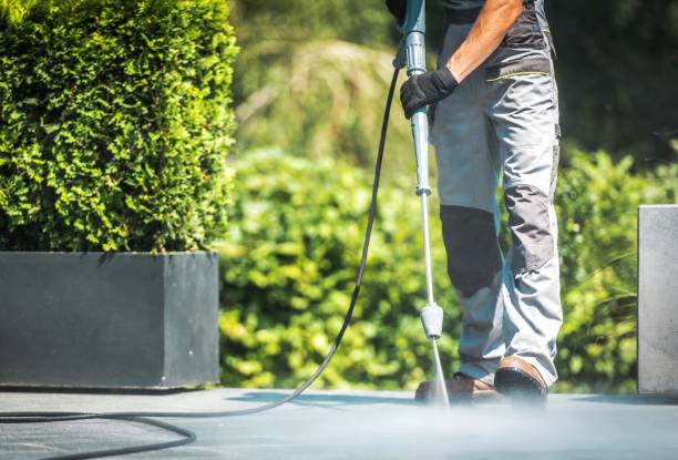 Professional Pressure Washing Services in Freeburg, IL