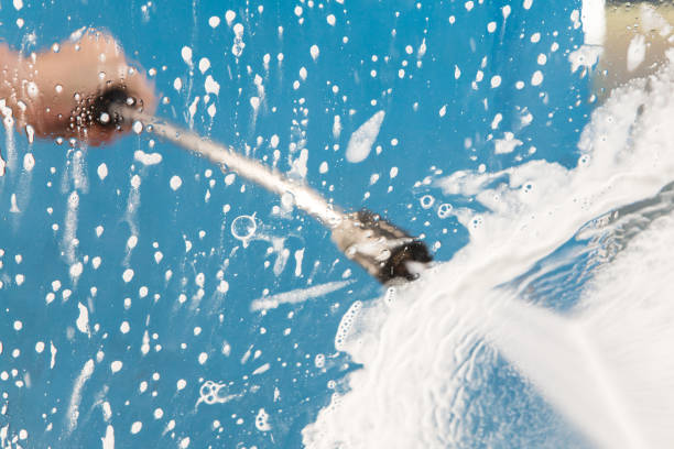 Best Gutter Cleaning  in Freeburg, IL
