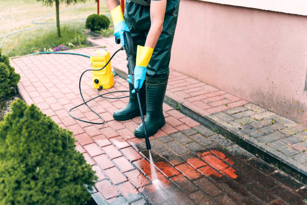 Best Driveway Pressure Washing  in Freeburg, IL