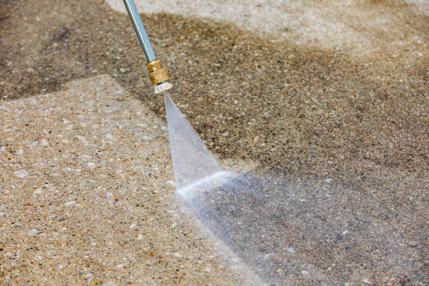 Animal Enclosure Cleaning in Freeburg, IL