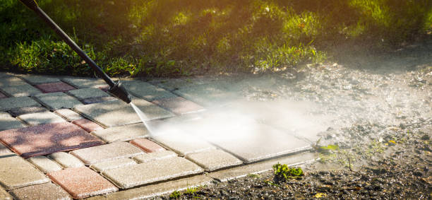 Best Oil Spill Cleanup  in Freeburg, IL