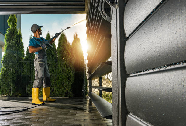 Best Soft Washing  in Freeburg, IL