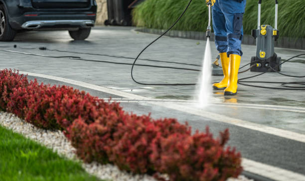 Best Fleet Vehicle Washing  in Freeburg, IL